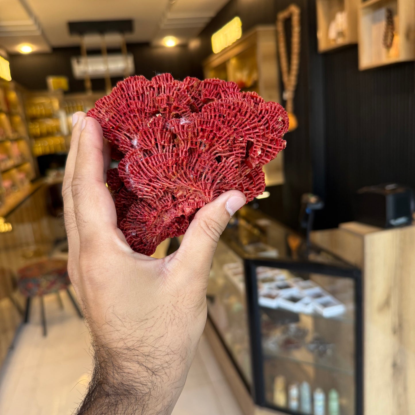 Natural Red Coral (Marjan) Specimen – 246 Grams