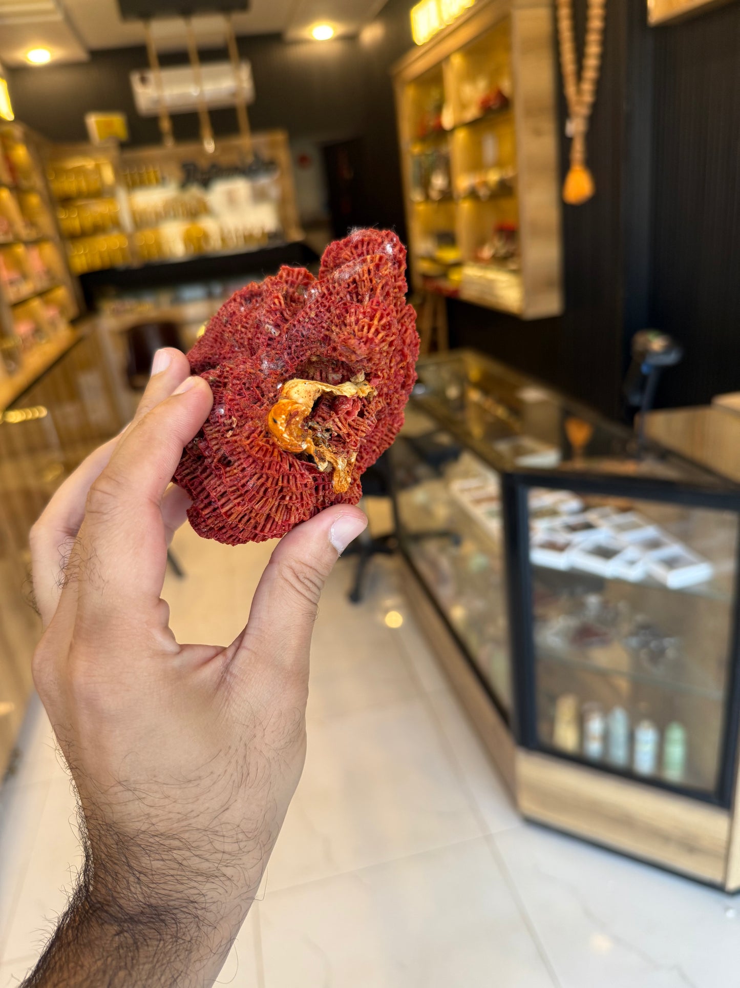 Natural Red Coral (Marjan) Specimen – 242 Grams