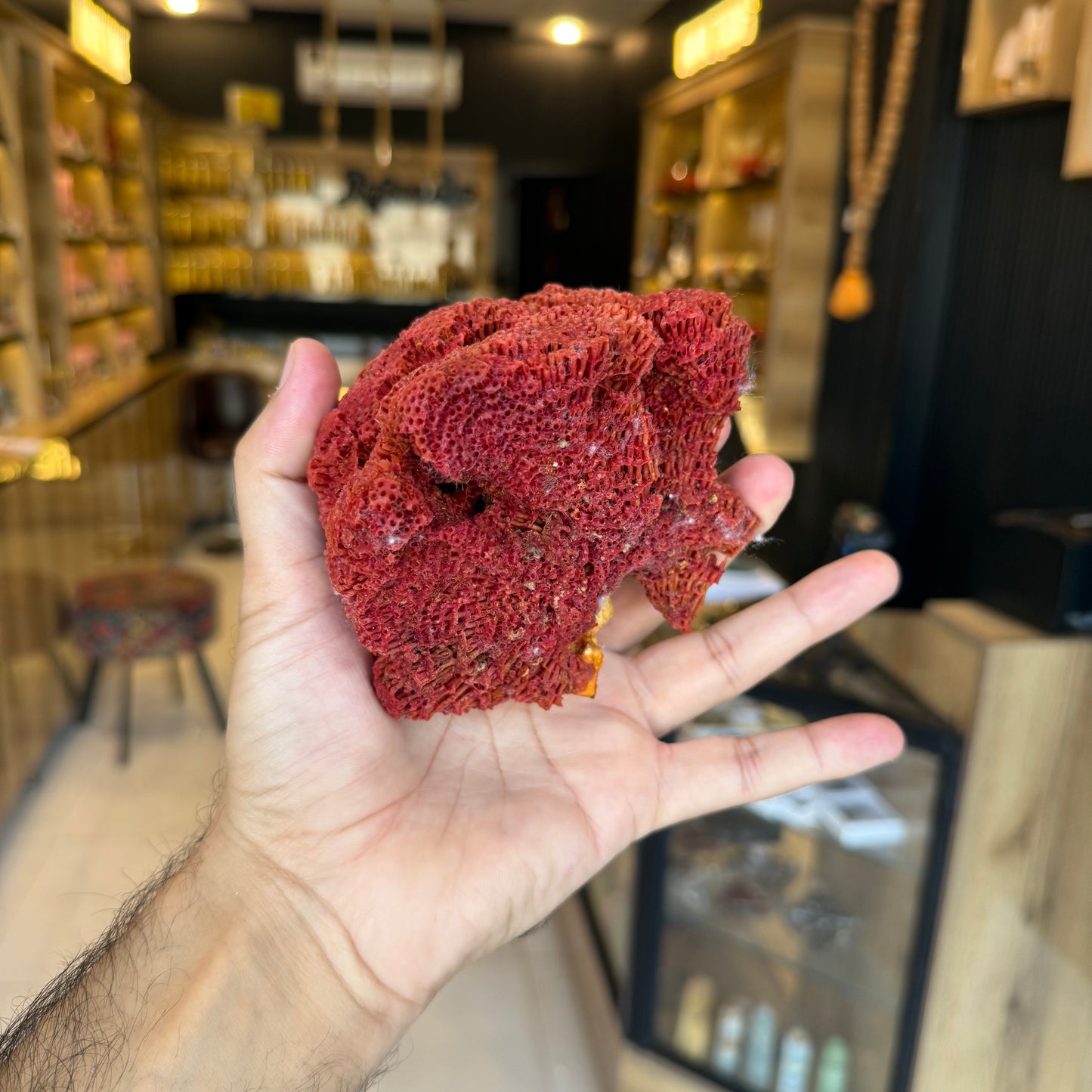 Natural Red Coral (Marjan) Specimen – 243 Grams