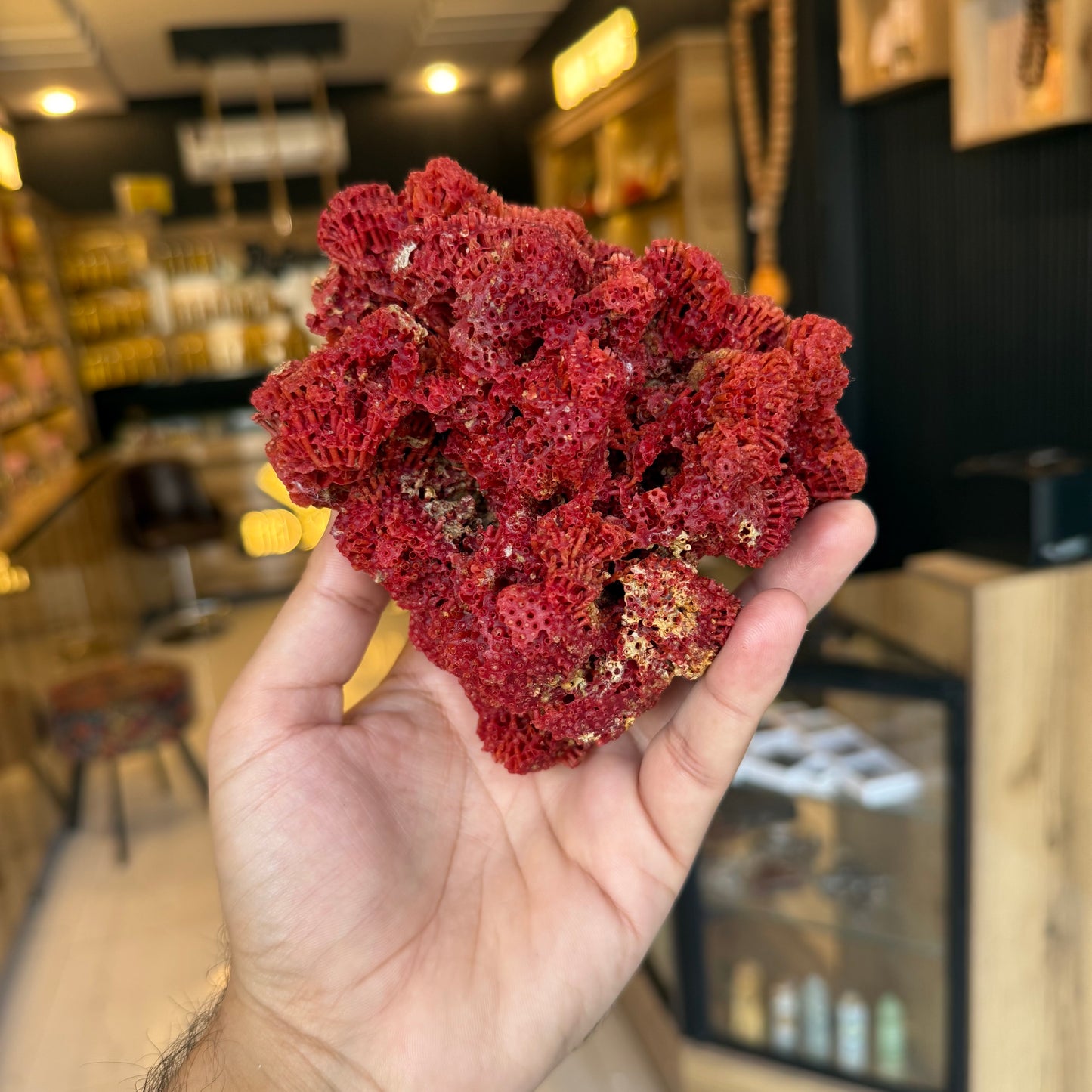 Natural Red Coral (Marjan) Specimen – 246 Grams