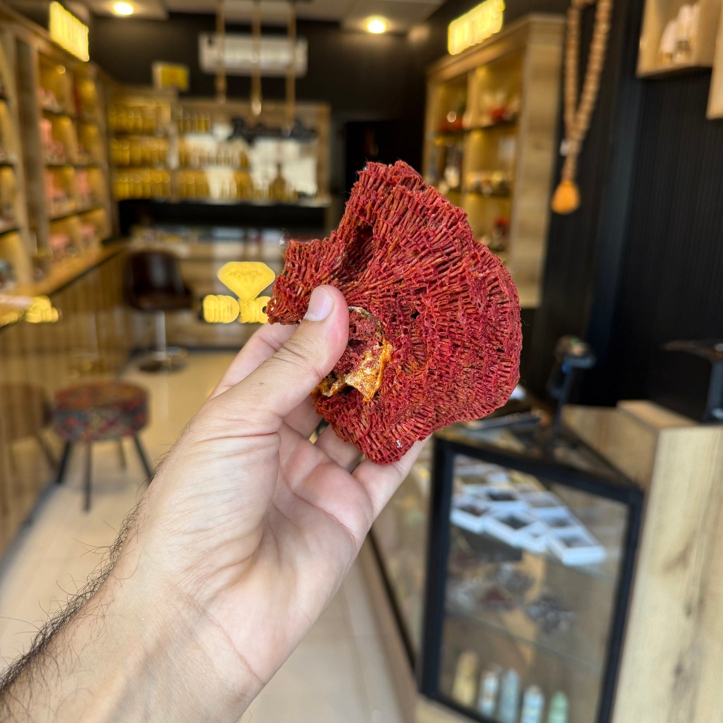 Natural Red Coral (Marjan) Specimen – 243 Grams