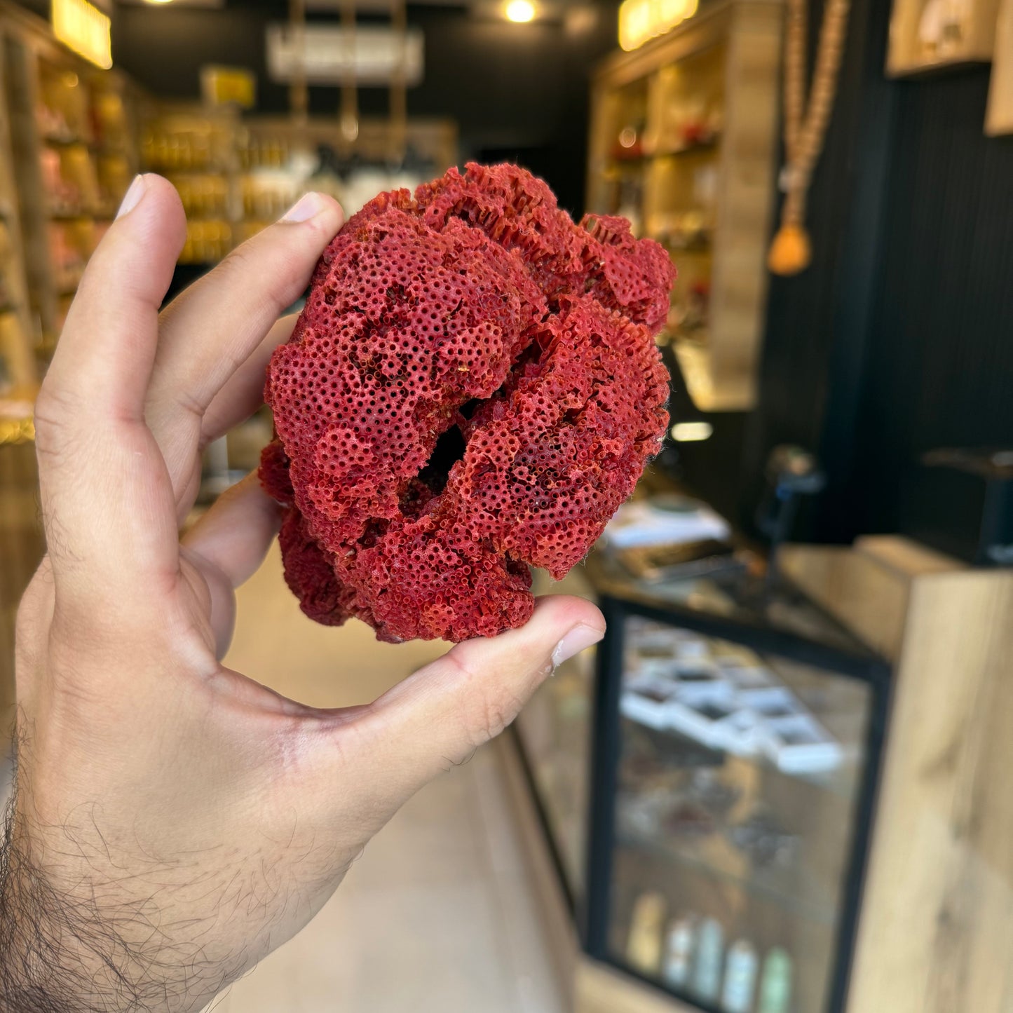 Natural Red Coral (Marjan) Specimen – 243 Grams