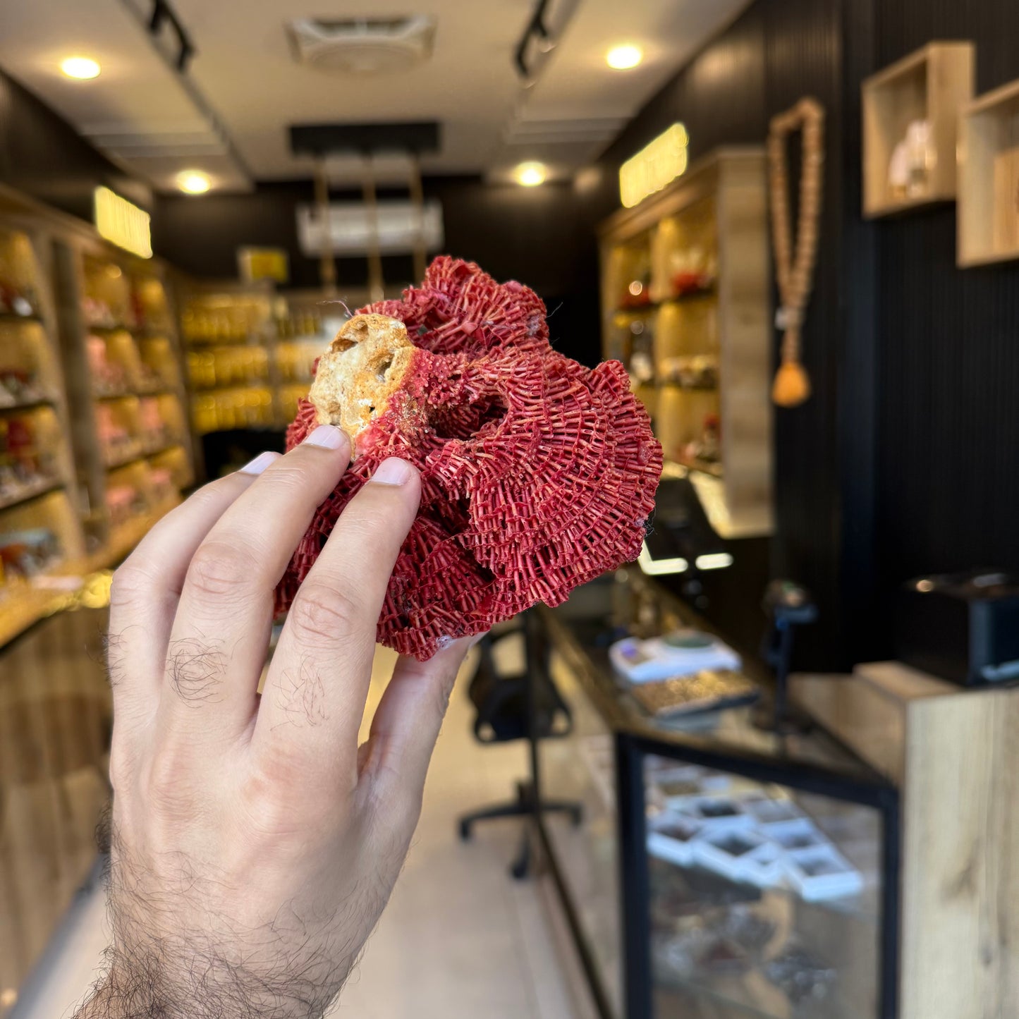 Natural Red Coral (Marjan) Specimen – 273 Grams