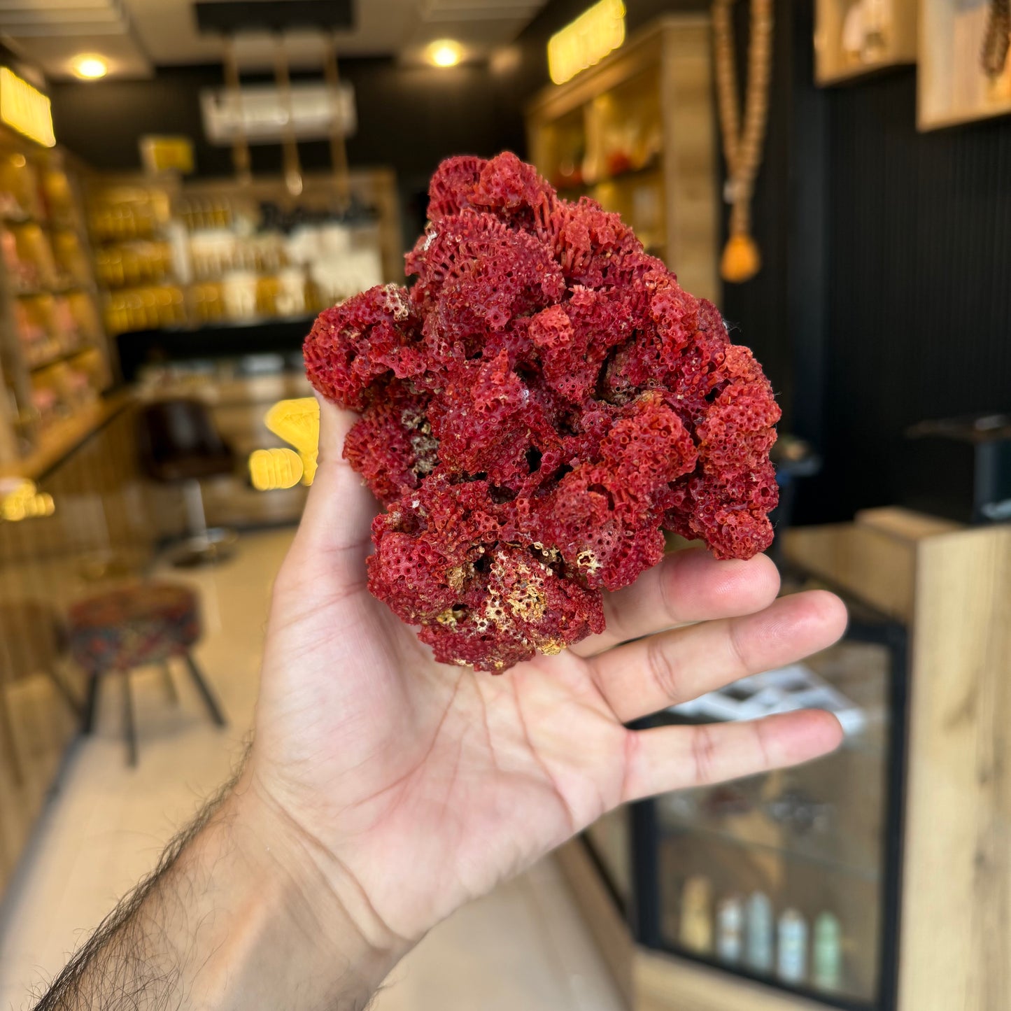 Natural Red Coral (Marjan) Specimen – 246 Grams