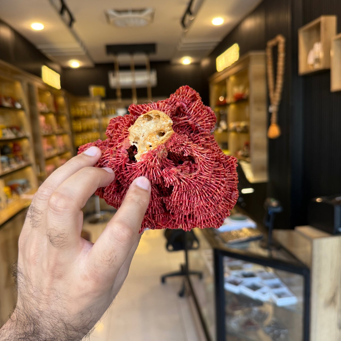 Natural Red Coral (Marjan) Specimen – 273 Grams