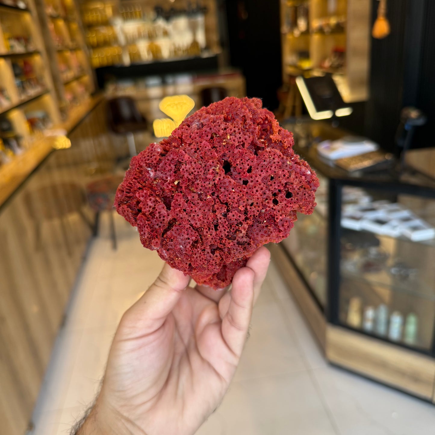 Natural Red Coral (Marjan) Specimen – 173 Grams