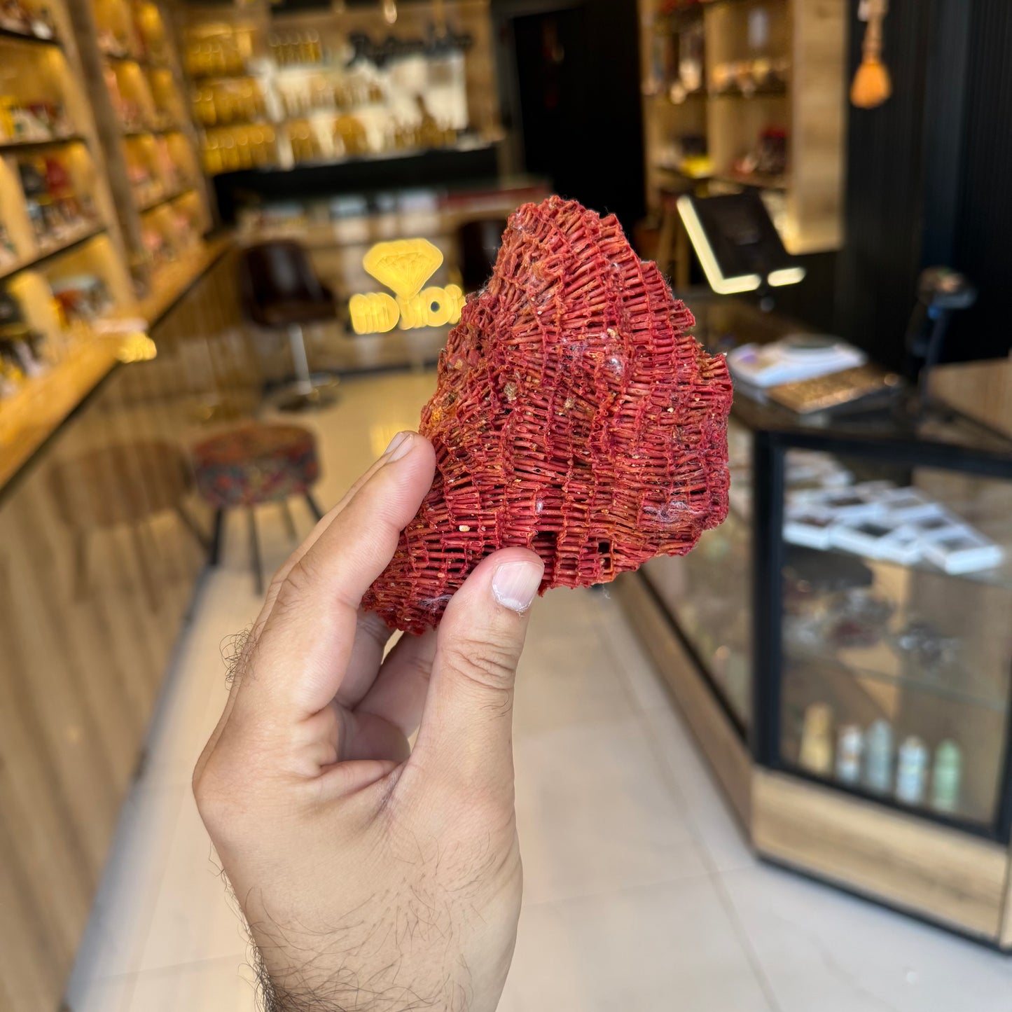 Natural Red Coral (Marjan) Specimen – 173 Grams