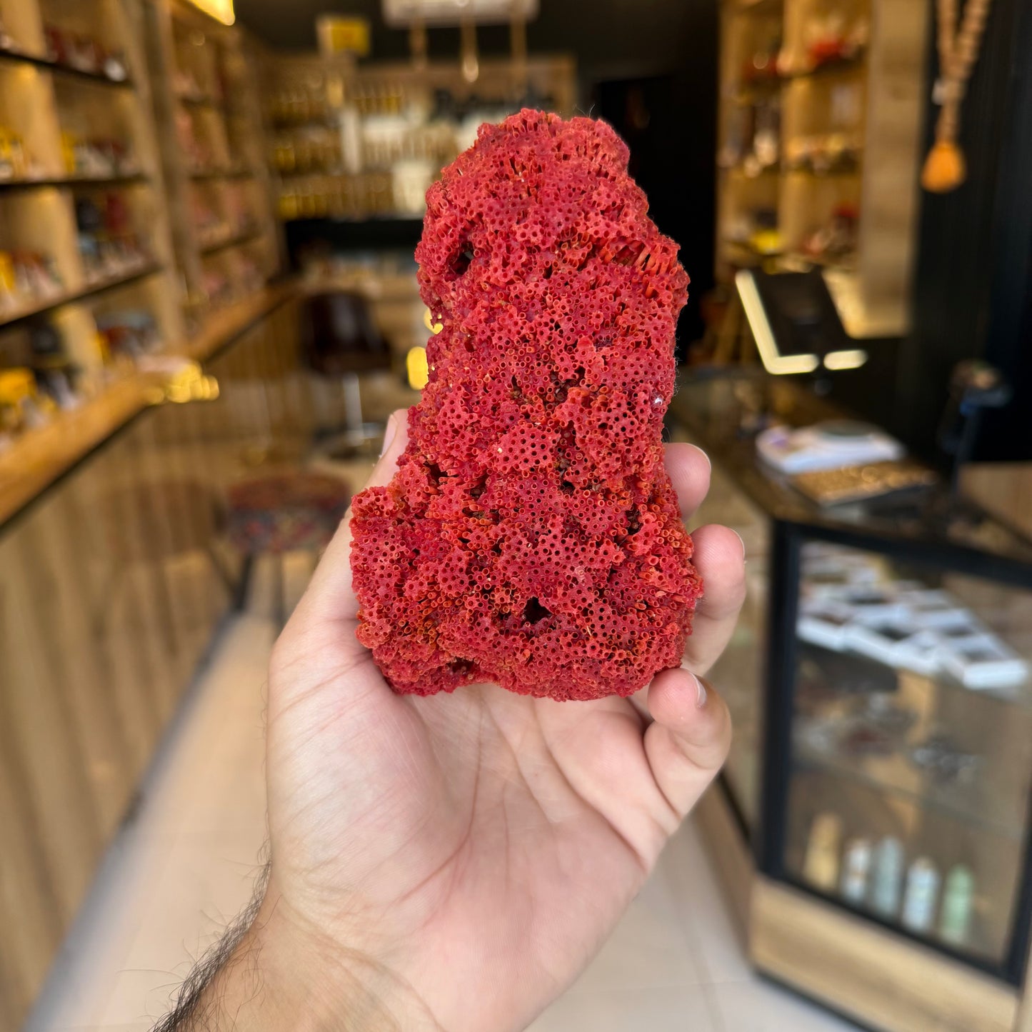 Natural Red Coral (Marjan) Specimen – 143 Grams