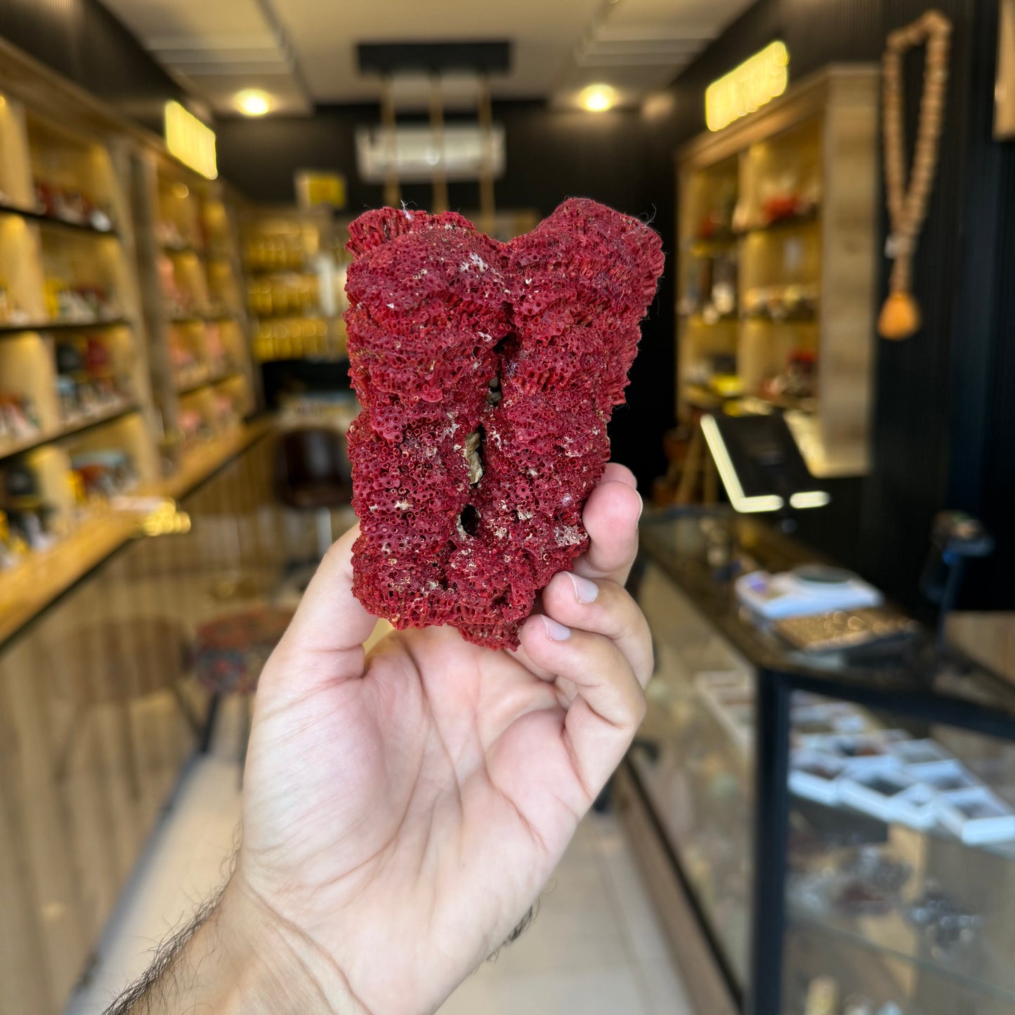 Natural Red Coral (Marjan) Specimen – 242 Grams