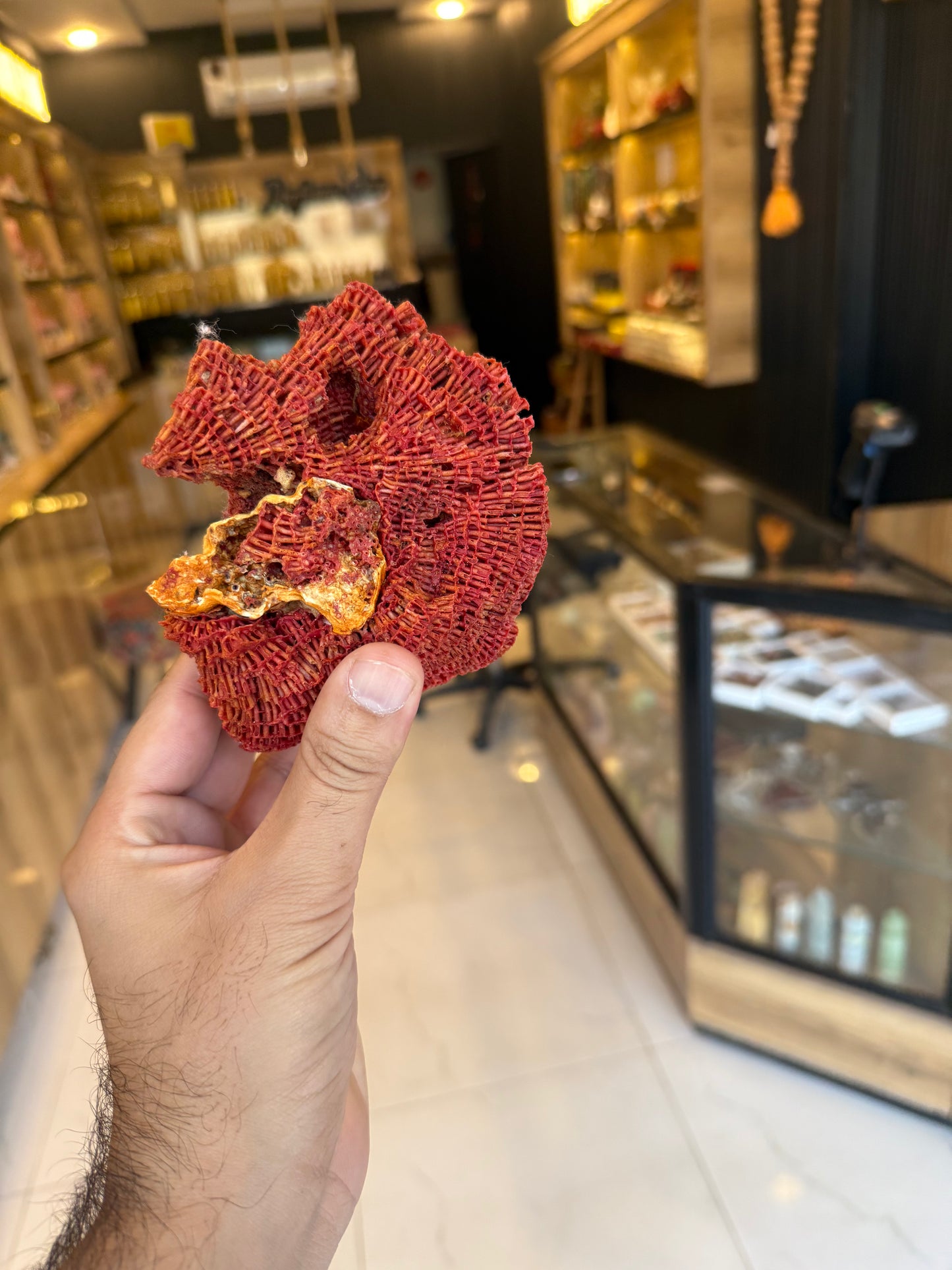 Natural Red Coral (Marjan) Specimen – 242 Grams