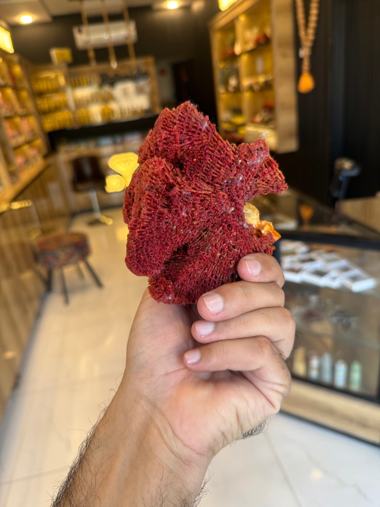 Natural Red Coral (Marjan) Specimen – 242 Grams